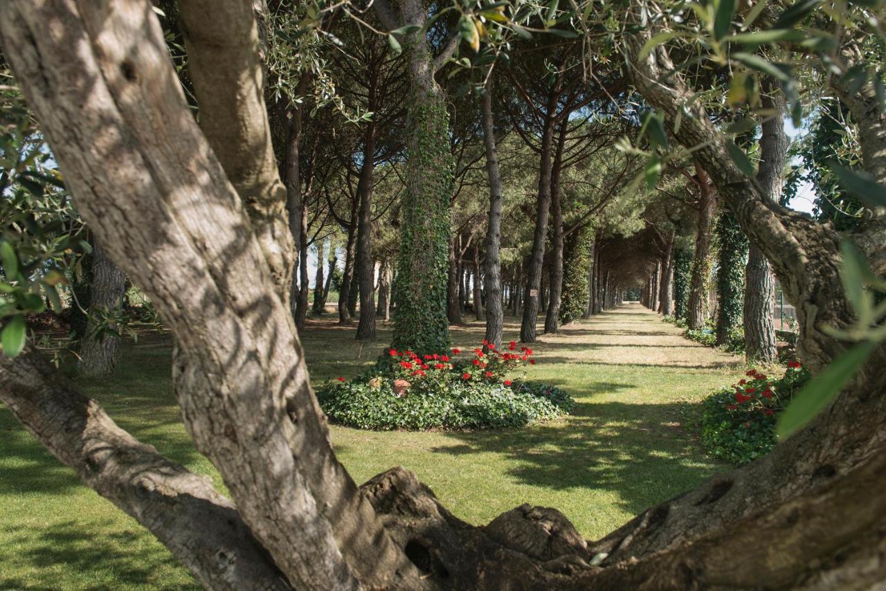 Hotel El Moli Sant Pere Pescador Eksteriør bilde